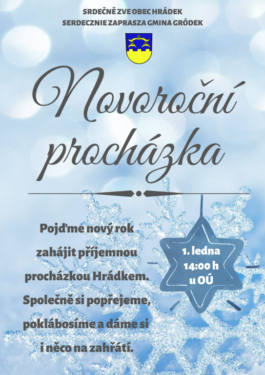 Novoroční procházka