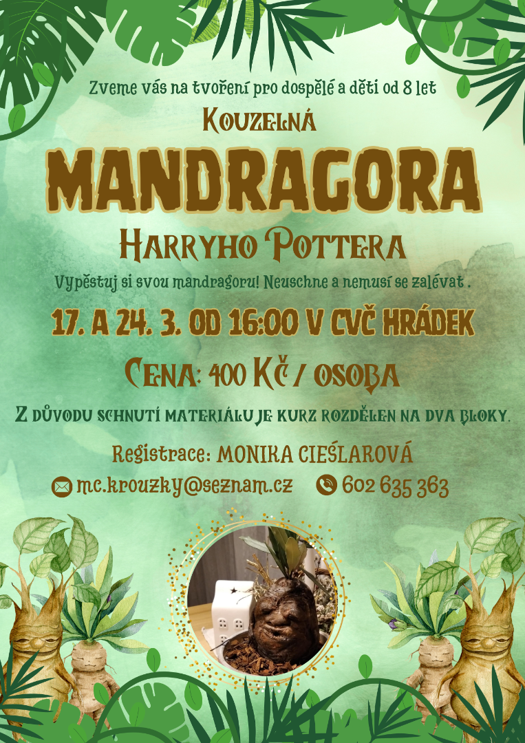 Tvoření v CVČ: Kouzelná Mandragora Harryho Pottera
